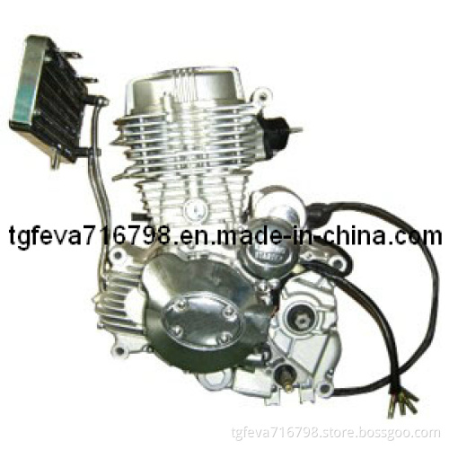 Cg250 Motorcycle Engine (167FMM)